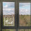 Window Clings Removable Decorative -Catching Stickers 3