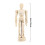 Display Mannequin Wood Mannequin Bamboo 1pack Drawing Model 2