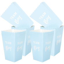 20 Pcs Popcorn Box Mini Boxes For Girls Party Birthday Decoration