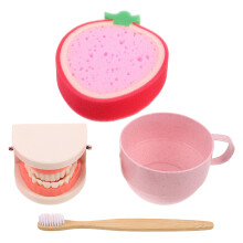 Plastique Montessori Jeu Dents Apprentissage Santé Enfant