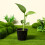 40pcs Black Hydroponic Planting Net Cup For .9x1.9x1.9in 11