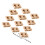 Raindrops 50 Pcs With Lids Juice Holder Transport Drinks 2