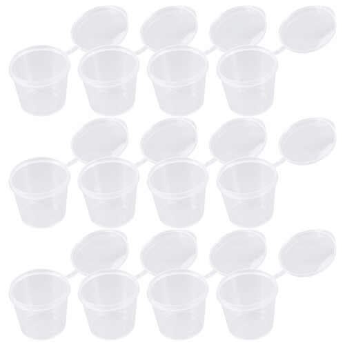100pcs Portion With Lids