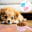 Simple Pet Food Measuring Spoons Set 2pcs 5