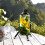 Telescope High Definition 1 Set 6.1x2.4in 8