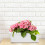 Rectangular Flowerpot Plastic Storage Holder White 2pcs 2