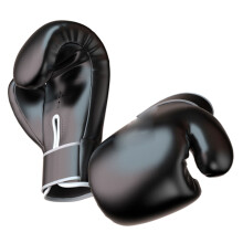 Worgeous Adult Punch Mitts Boxing Gloves Kickboxing Impact Resistance
