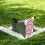 For Training Durable For Training Lightweight Target Platform 4