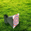For Training Durable For Training Lightweight Target Platform 3