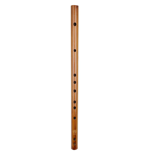 1set Practical For Musicians 15.6x0.8x0.8in 2
