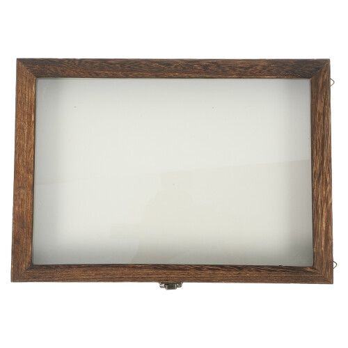 Insect Display Case With Clear Top And Foam Pin Board 2