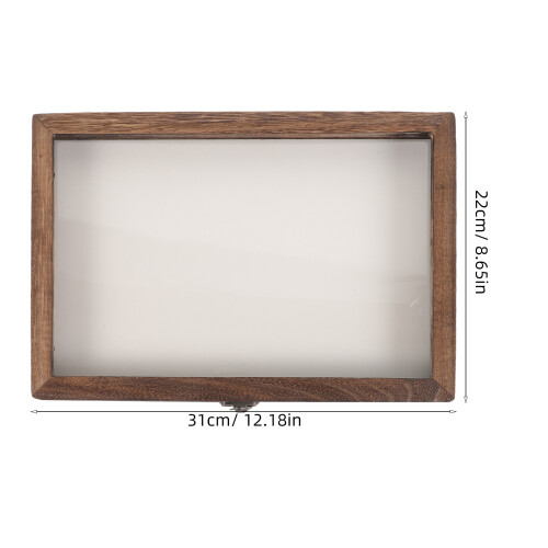 Insect Display Case With Clear Top And Foam Pin Board 1