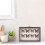 Insect Display Case With Clear Top And Foam Pin Board 8