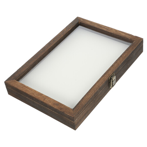 Insect Display Case With Clear Top And Foam Pin Board