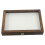 Insect Display Case With Clear Top And Foam Pin Board 4