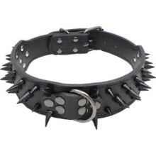 Hondenhalsband met studs Leren hondenhalsband met studs ZWART