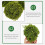 Raindrops 3pcs Topiary Plants For Seasonal Decor 12in 10