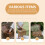Grocery Basket Coffee Wood 1set 9