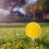 Soft Practice Golf Balls 22pack 4