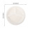 20Pcs White Bagasse Divided Eco-Friendly 2