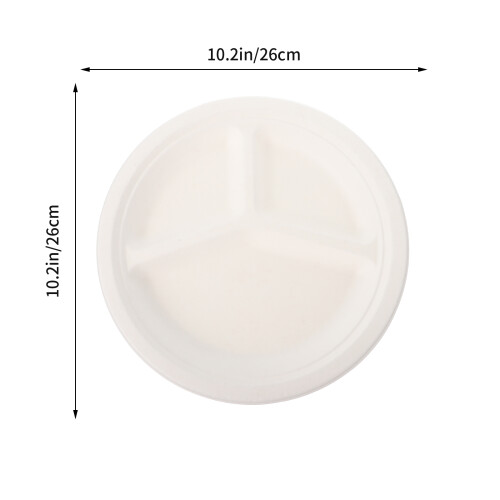 20Pcs White Bagasse Divided Eco-Friendly 1