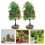 2 simulation landschaftsornament sandtisch- 6