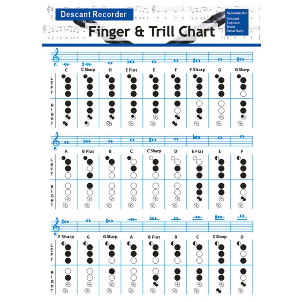 Music Instrument Guide Practice Chord Chart For Flute Finger Poster