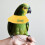 2 Pcs Collar Parrot Accessory Pet Recovery Anti-Pecking Protective 9