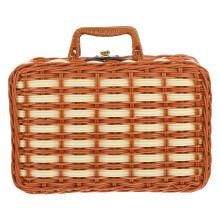 Durable Plastic Wicker Suitcase for Travel and Home Use