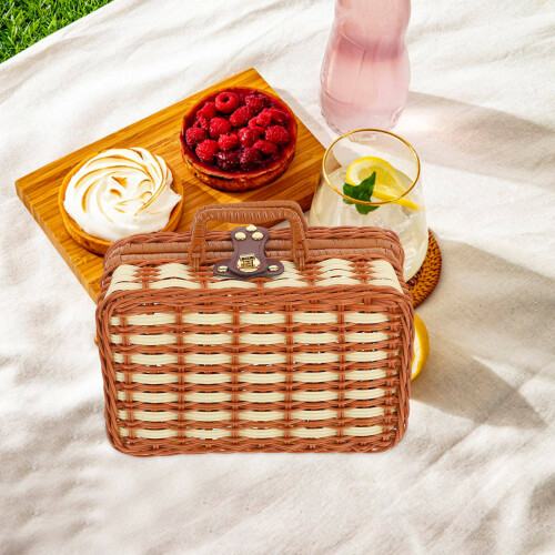 Durable Plastic Wicker Suitcase for Travel and Home Use 2