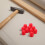 Switch Leakage Protector Plastic 10pcs 1.0x1.0x0.6in 4