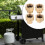 4pcs Adapter For Gas Filling Small Converter Camping Use 3