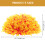 Artificial Grass Ball Orange Plastic 1 Set For General Users 8