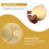 200 Pack Disposable Cake Bases For Bakery Use 9.00x8.00x0.10cm 7
