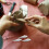10 Pcs Ceramic Pottery Support Nails For Kiln Moveable White 7