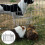 Rabbit Hay Rack Hay Feeder Rack Black 1pcs 5