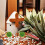 5 Pcs Sand Table Model Decorative Greenery Globe Fake Grass Spheres 4