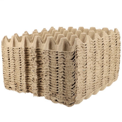 20pcs Pulp Bracket Suite Quail Paper