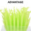Turtle Box Humidifier Imitation Plants Natural Gasification Humidifier 9