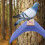 Pigeon Supplies Perch Durable Elevated Blue For Pet Use 6pcs 11