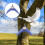 Pigeon Supplies Perch Durable Elevated Blue For Pet Use 6pcs 5