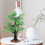 Plastik Ahornbaum Mini Landscape Garten Ornament 4
