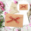 Bow Envelope For Wedding Invitations In Brown 10set 5
