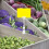 Label Clip Holder Advertising Display Clip Transparent 6pcs 10