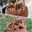 Woven Picnic Basket Storage Gift Basket With Handle 11