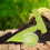 1Set Garden Plastic Planter Tool Adjustable Seed Dispenser Green 11