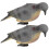 2pcs Simulation Animal Model Pigeon Or Crafts 1