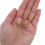 500 Pcs Tiny Push Pins Ball Thumbtack Office Travel 6