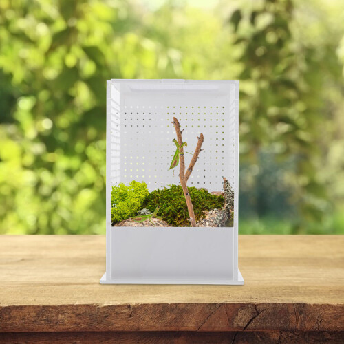 Breeding Box For Mantis Acrylic Small Breeding Housing 1set 2