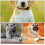 Collar Charms Dog Collar Bell Assorted Color 2set 6